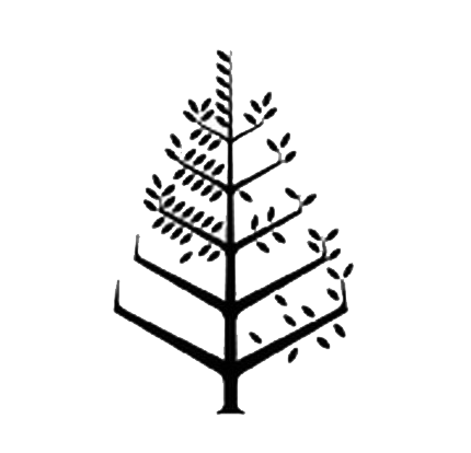 Four Seasons Hotel Miami Logo